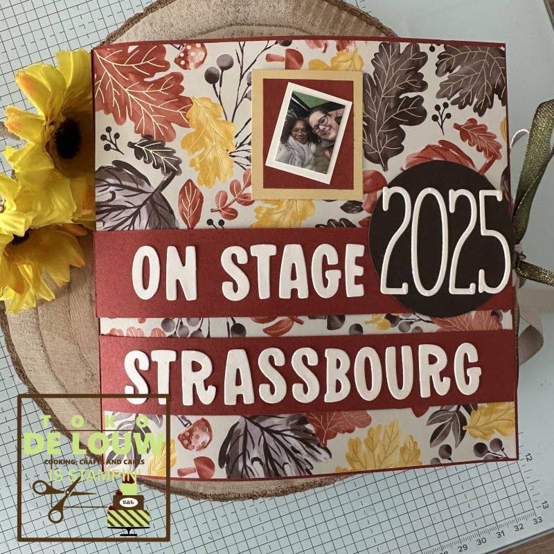 Square Scrap Folio Tutorial - English- centimeters