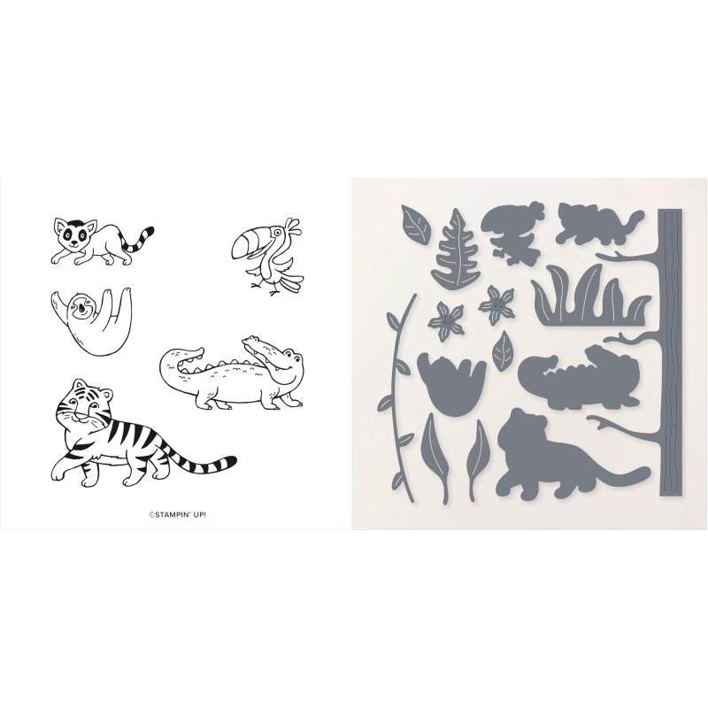 Jungle Palls bundel NIEUW