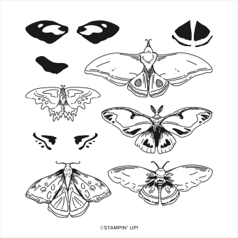 Night of Flight NIEUW