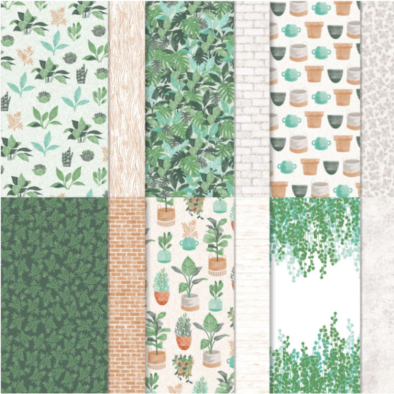 Bloom where you are planted DSP