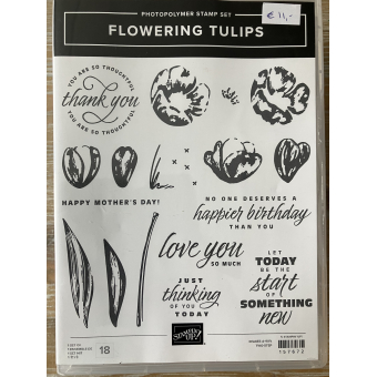 Flowering Tulips NIEUW