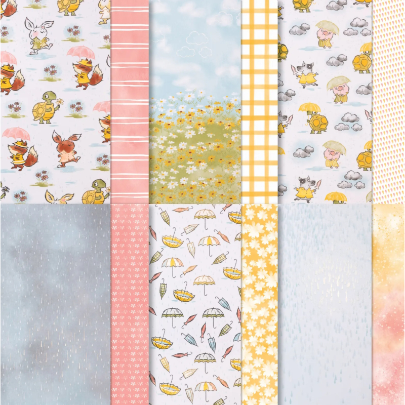 Rain or Shine Specialty DSP