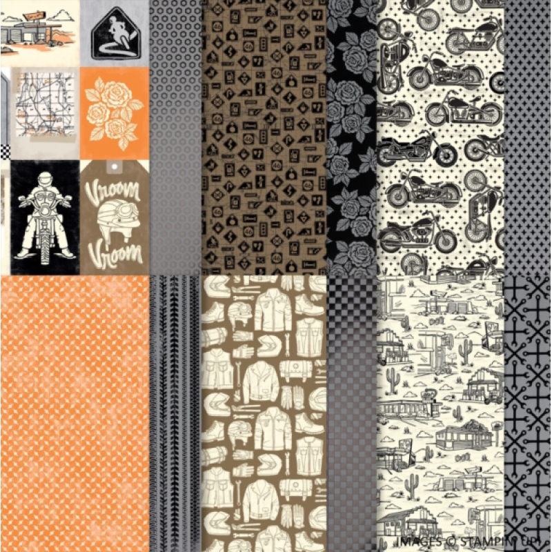 Ready to Ride specialty DSP