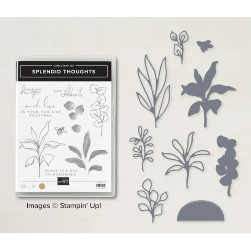 Splendid Thoughts bundel met stansen