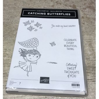 Catching Butterflies