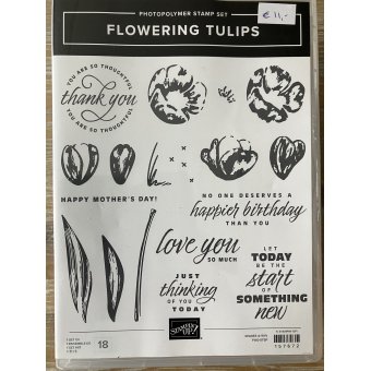 Flowering Tulips NIEUW
