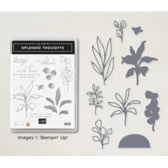 Splendid Thoughts bundel met stansen