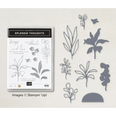 Splendid Thoughts bundel met stansen NIEUW